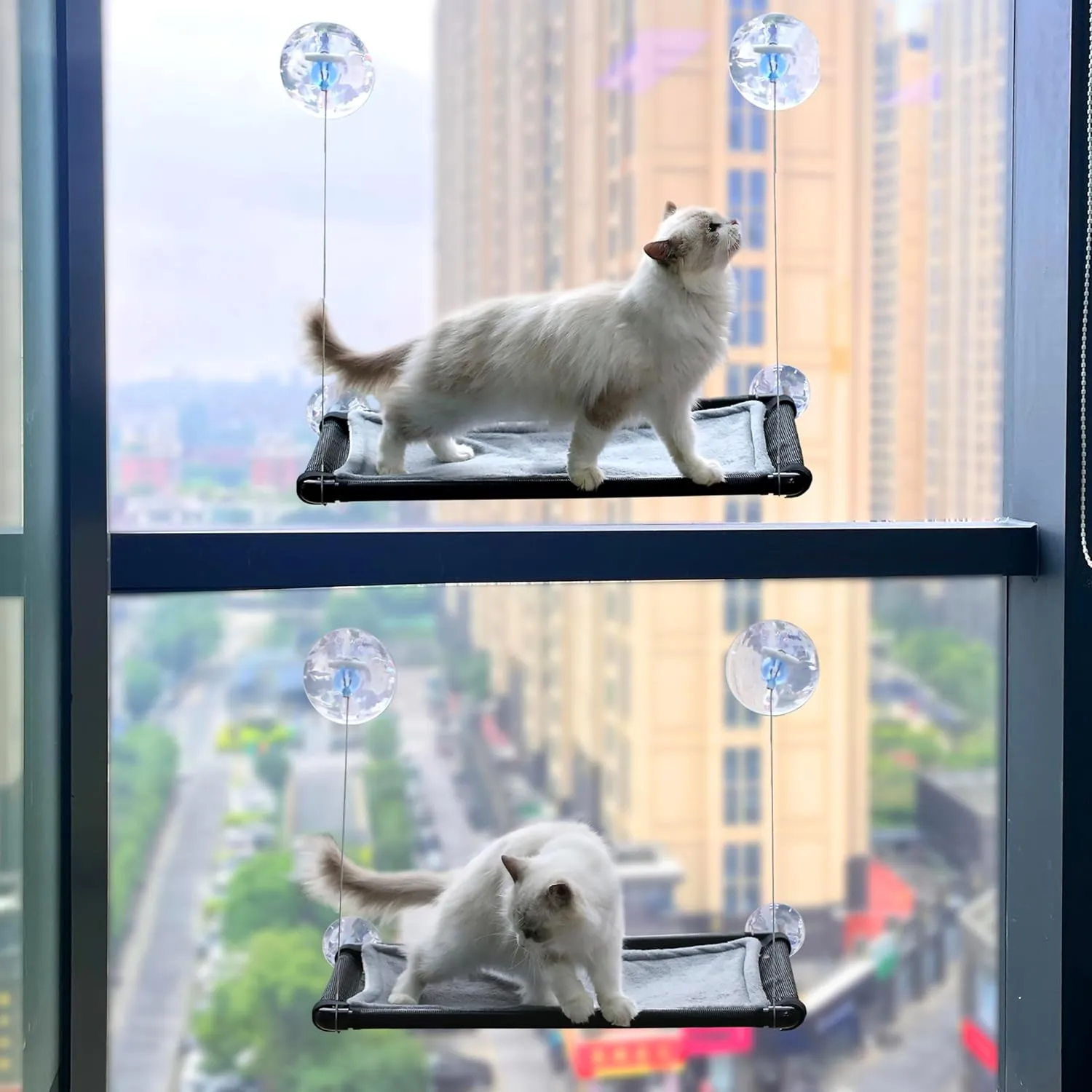 2 Pack Cat Hammock for Window Wall with 8 Suction Cups 2 Cushion Cover,Cat Window Perch, Space Saving and Easy Mounted Large Cats Bed,Pet Resting Safety Holds (Black, Medium)
