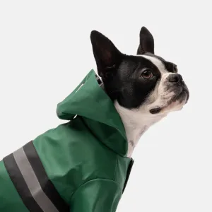 Aden Dog Raincoat (Green)