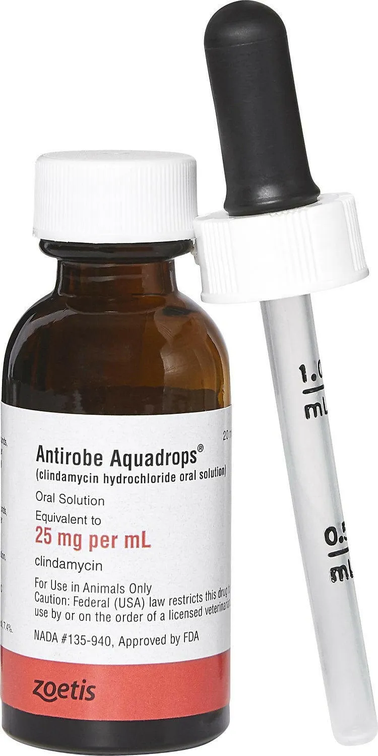 Antirobe (clindamycin hydrochloride) Aquadrops 25mg/ml (20ml)