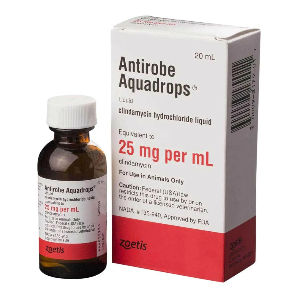Antirobe (clindamycin hydrochloride) Aquadrops 25mg/ml (20ml)