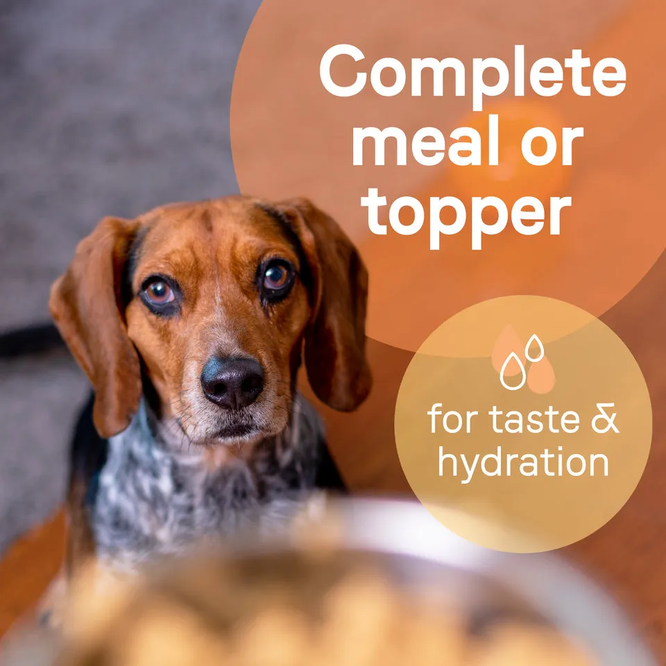 Canidae All Life Stages Lamb & Rice Recipe 13-oz, Wet Dog Food, Case Of 12