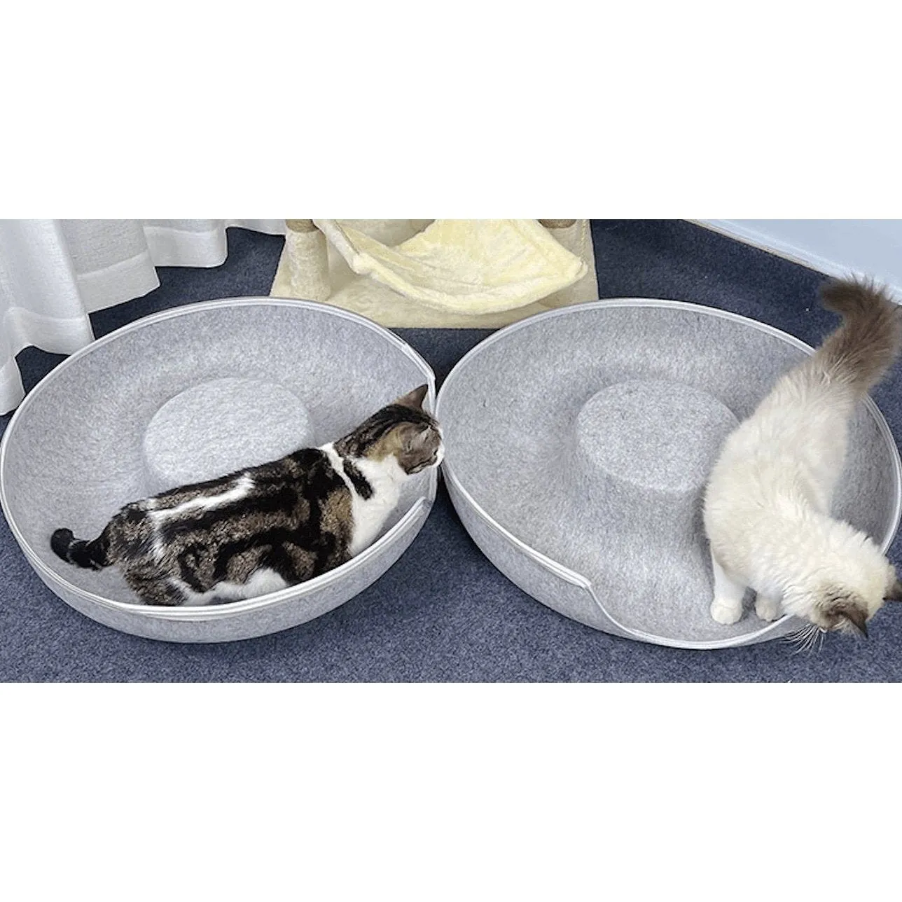 Cat Play Tunnel & Bed