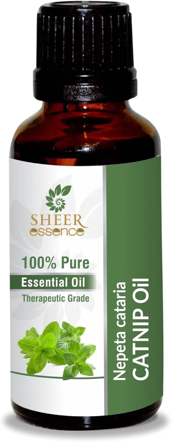 Catnip Oil (Nepeta Cataria) Essential Oil 100% Pure Natural Undiluted Uncut Therapeutic Grade Oil 0.16 Fl.OZ
