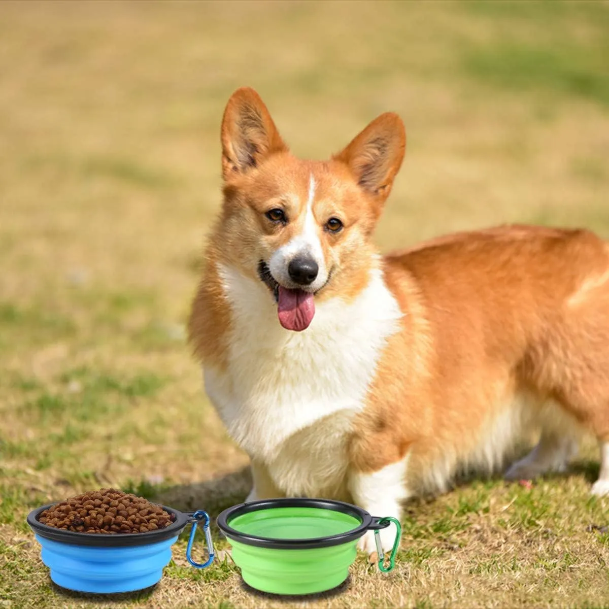 Collapsible Dog Bowl,2 Pack Portable and Foldable Pet Travel Bowls Collapsable Dog Water Feeding Bowls Dish for Dogs Cats and Small Animals,with Lids (Small, Blue Green)