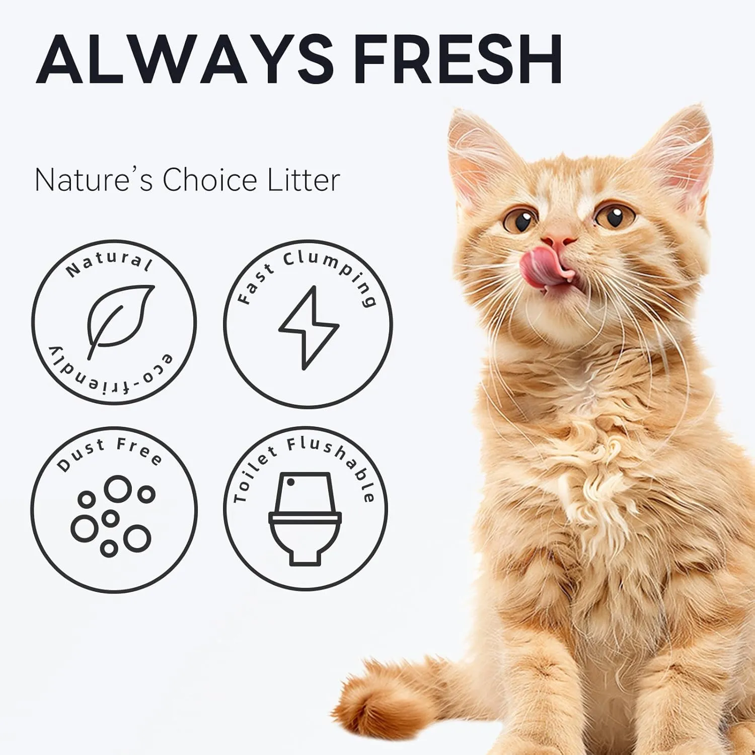 Corn & Cassava Cat Litter, Natural Sustainable Ingredients, Quick Clumping Cat Litter, Flushable, Superior Odor Control, 99.9% Dust Free Kitty Litter