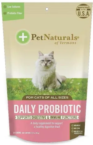 Daily Probiotic Chews