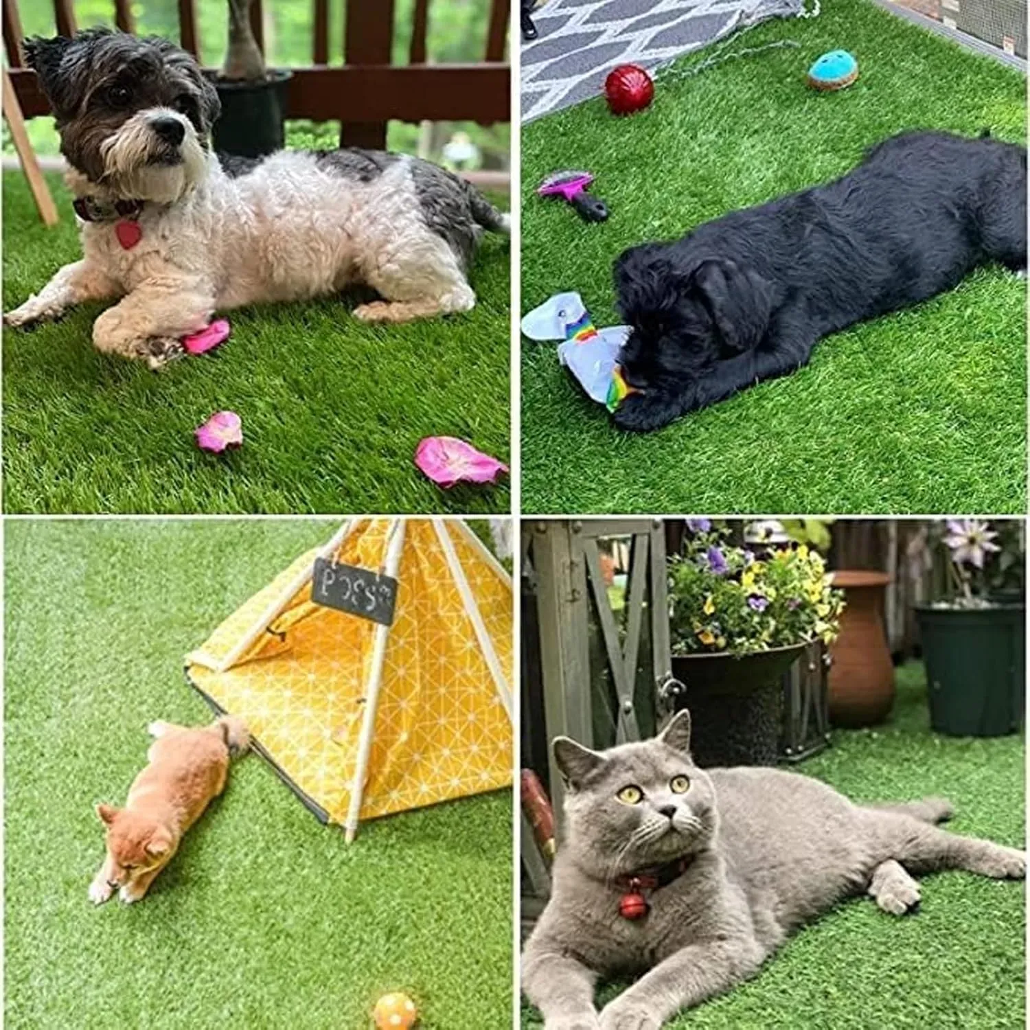 Dog Grass Pad,51.1x31.8In Fake Grass for Dogs,Artificial Grass Pee Pad for Puppies Potty Training Indoor Outdoor