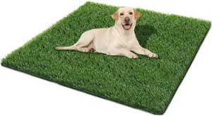 Dog Grass Pad,51.1x31.8In Fake Grass for Dogs,Artificial Grass Pee Pad for Puppies Potty Training Indoor Outdoor