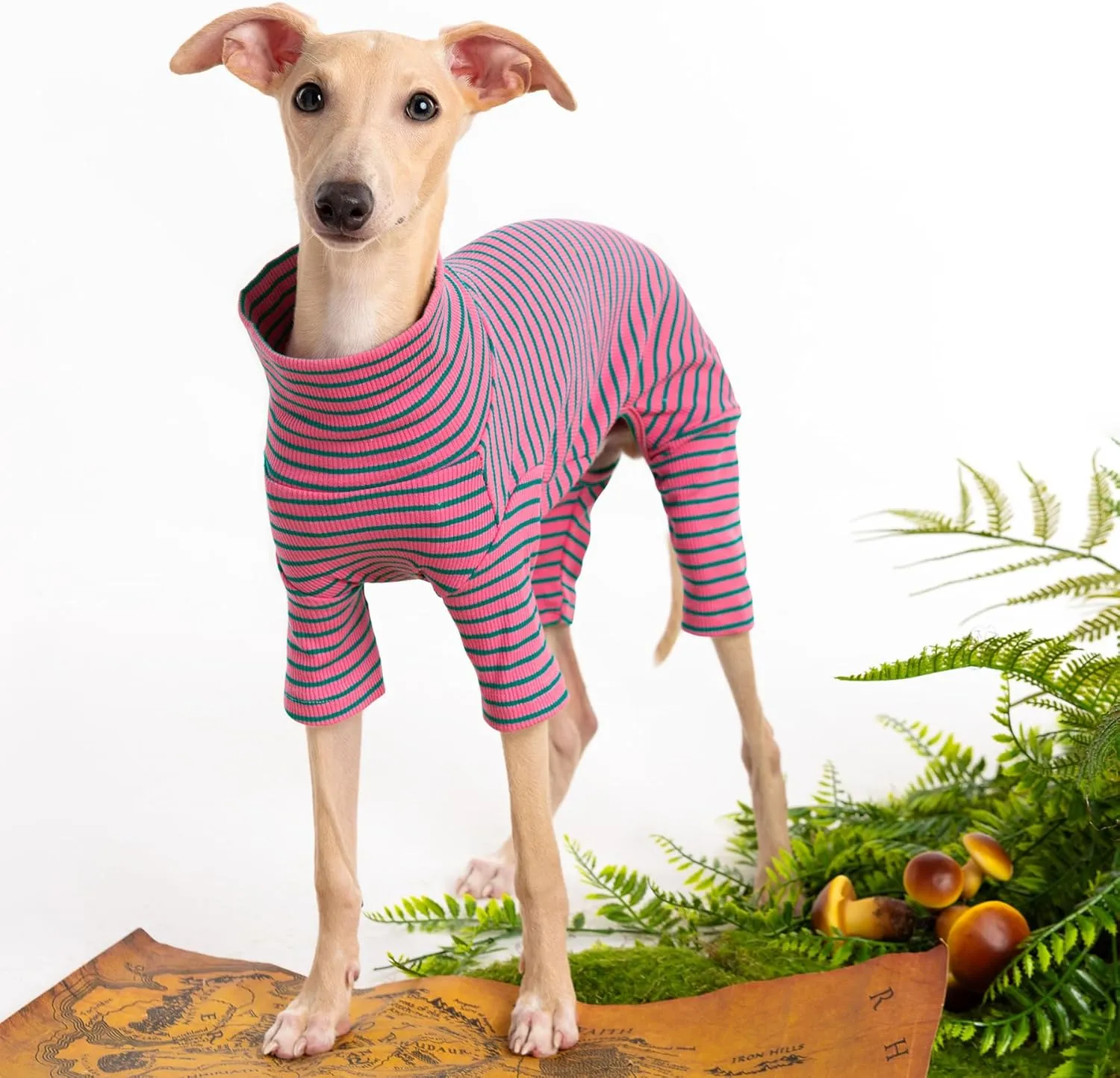 Dog Sweaters for Small Dogs Girls Boys, Striped Pet Sweaters for Fall Winter Dog Clothes, Turtleneck Pullover Knitwear for Small Medium Large Dogs
