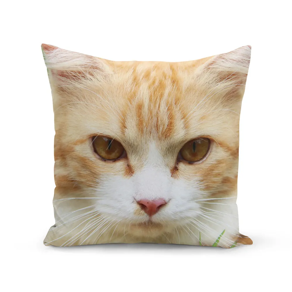 Face Splat Cushion
