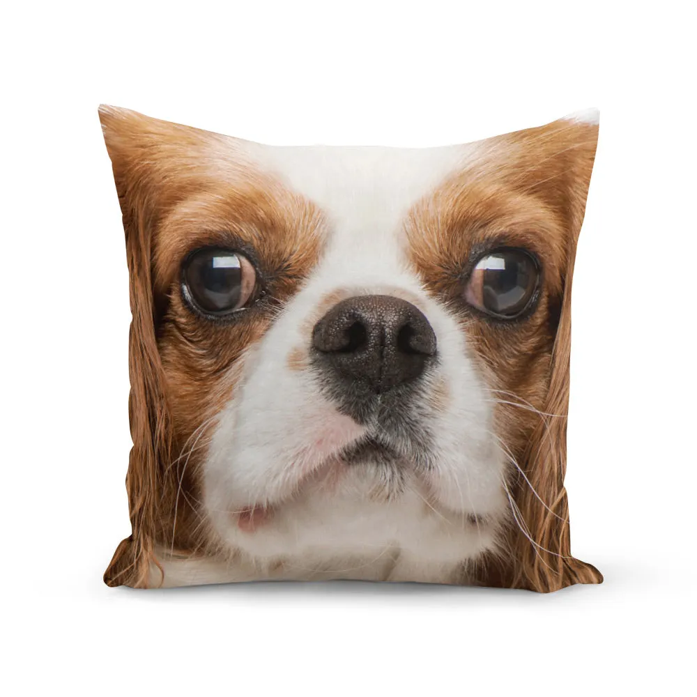 Face Splat Cushion