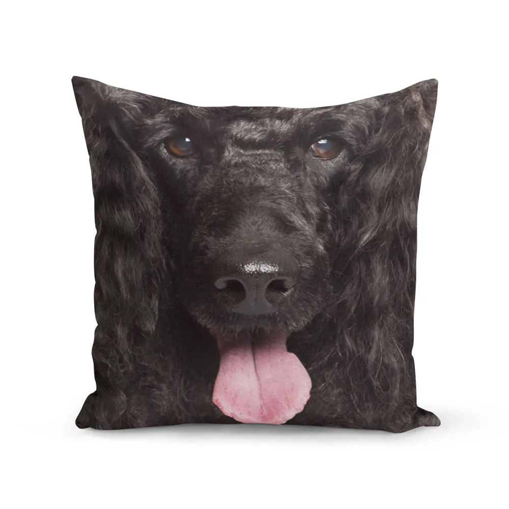 Face Splat Cushion
