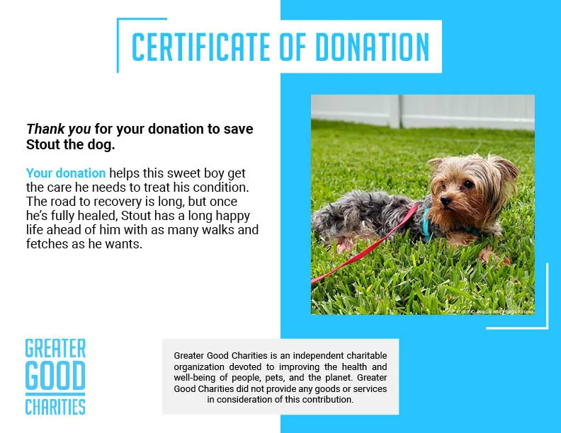 Funded: Support Stout’s Healing After a Hard Life