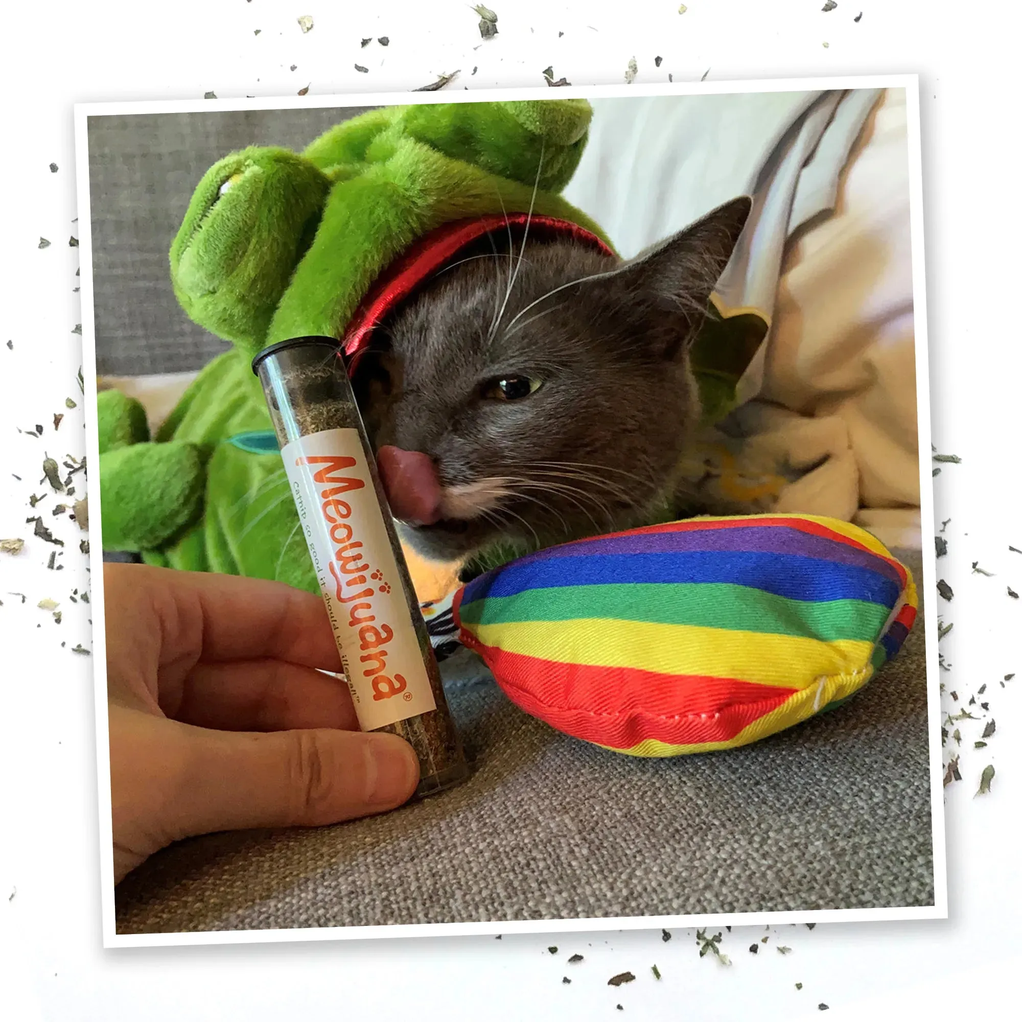 Get a Rise Balloon Refillable Cat Toy