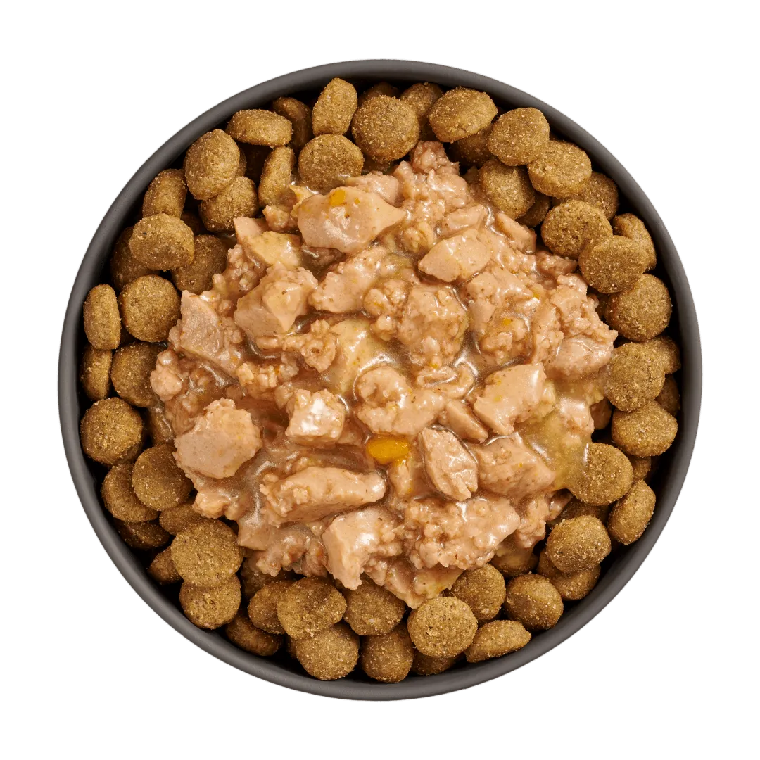 Go! Booster Joint Care Minced Chicken with gravy for dogs
