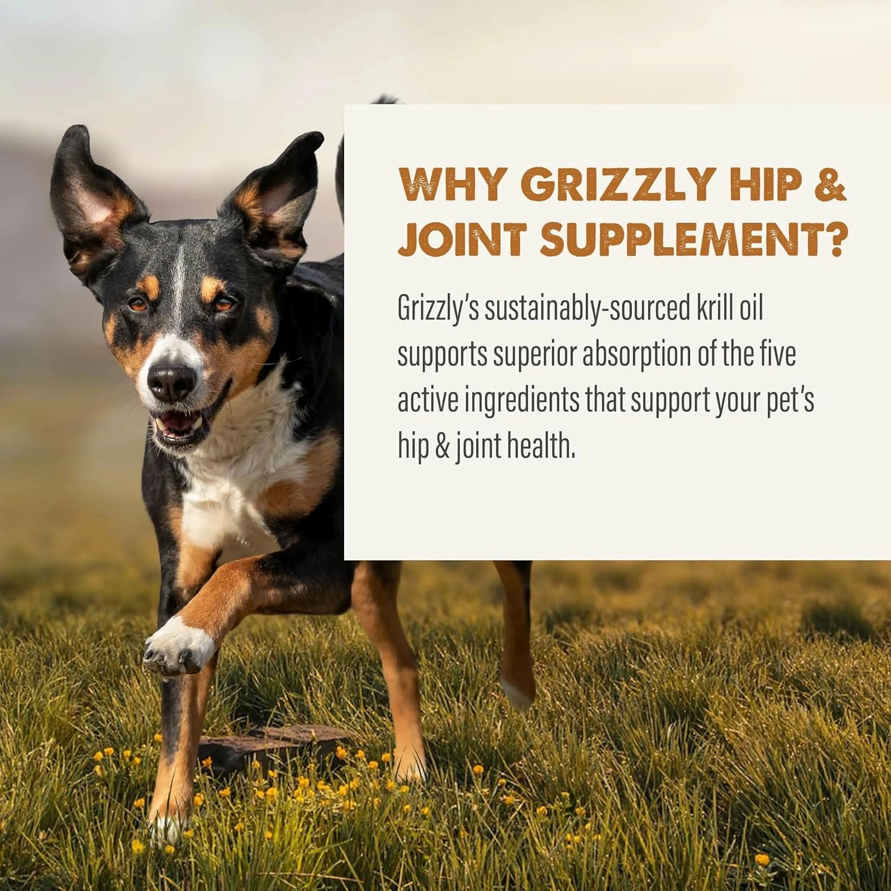 Grizzly Joint Aid Supplement For Dog & Cats (32 oz)