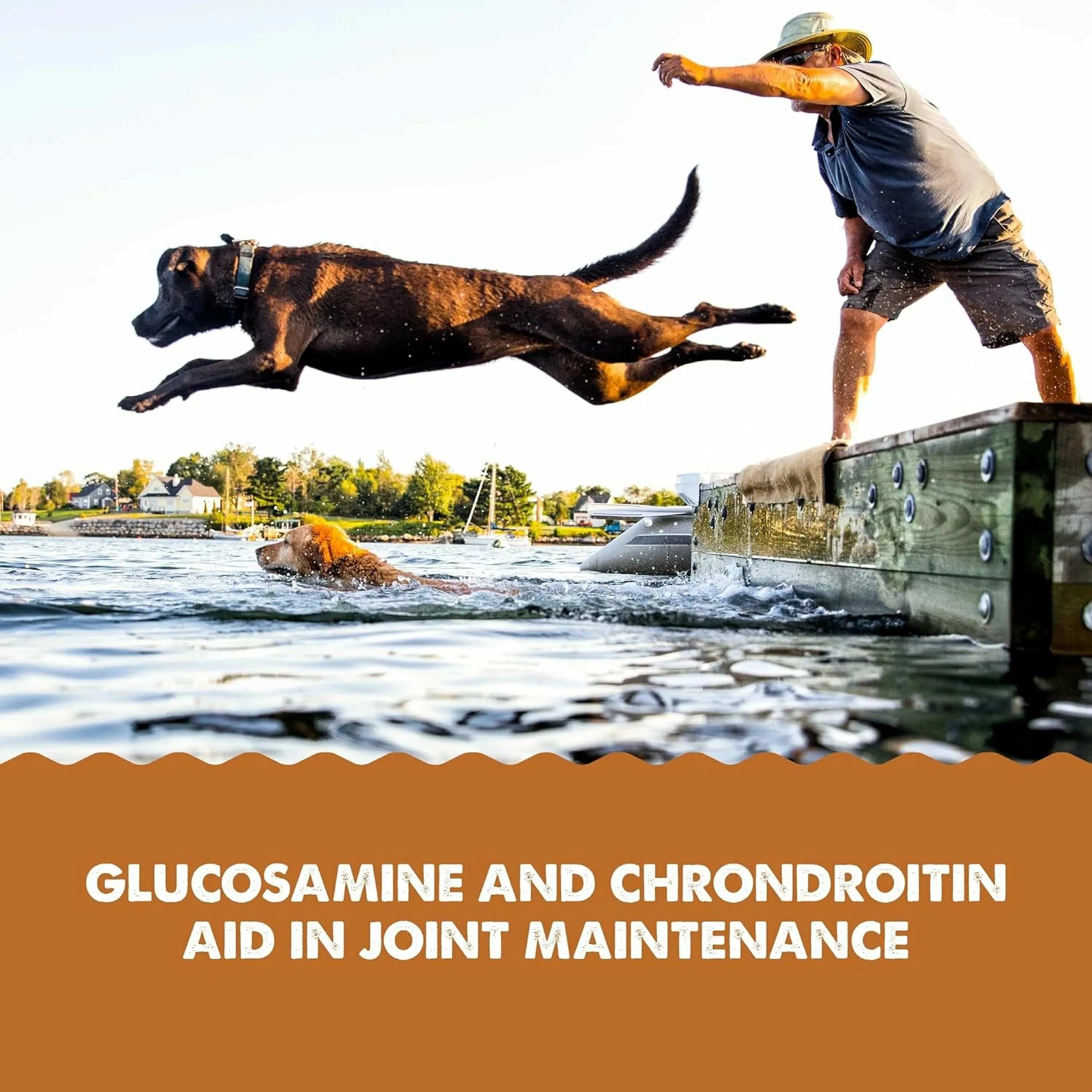 Grizzly Joint Aid Supplement For Dog & Cats (32 oz)