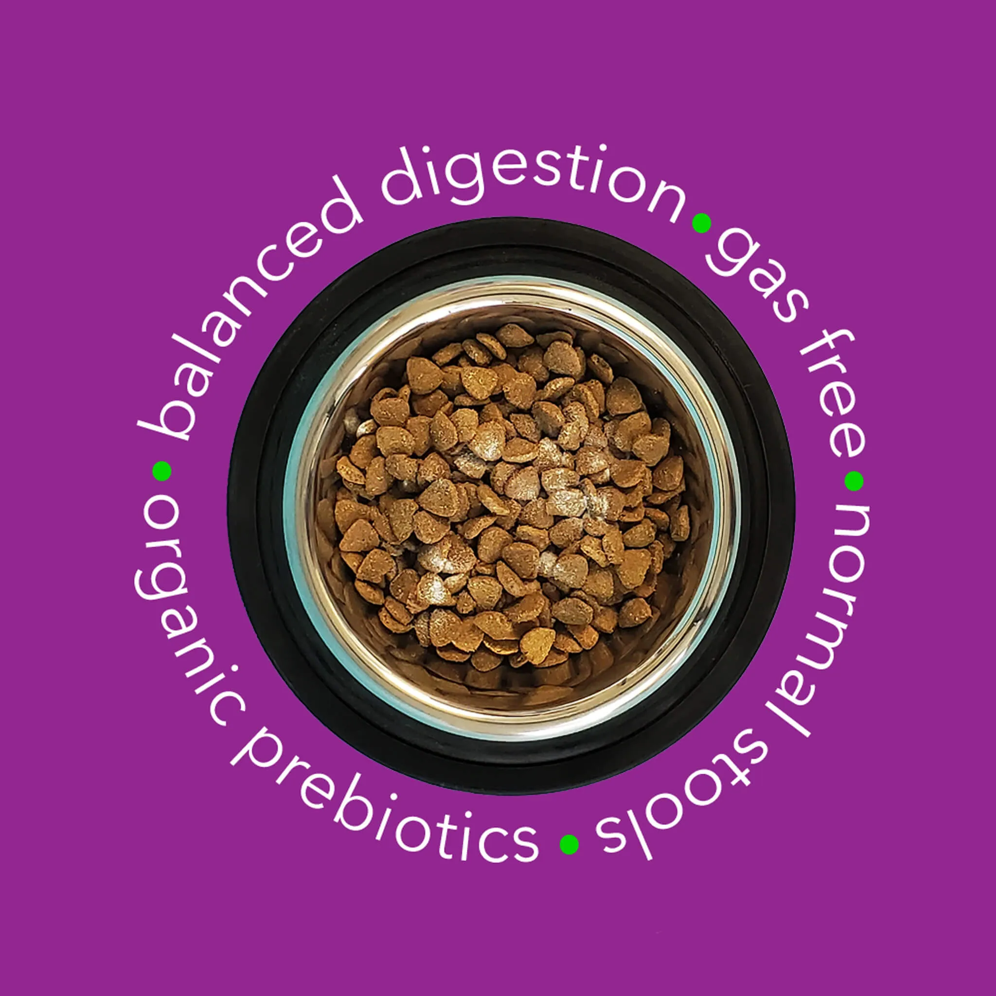 In Clover OptaGest Digestive Aid Dog & Cat Supplement