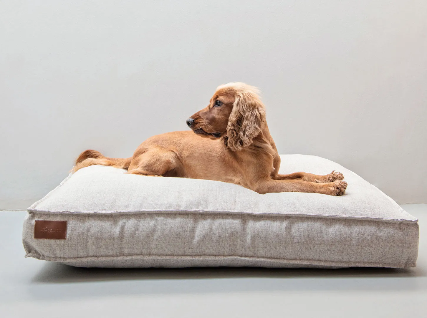 Lulu Dog Cushion