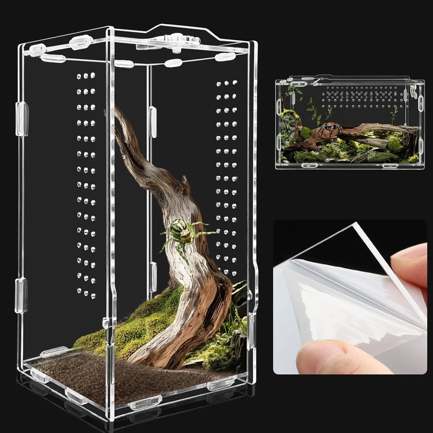 Micro Habitat Acrylic Reptile & Tarantula Enclosure, Small Tree Dwelling Reptiles, Amphibians, Spiders & Other Invertebrates