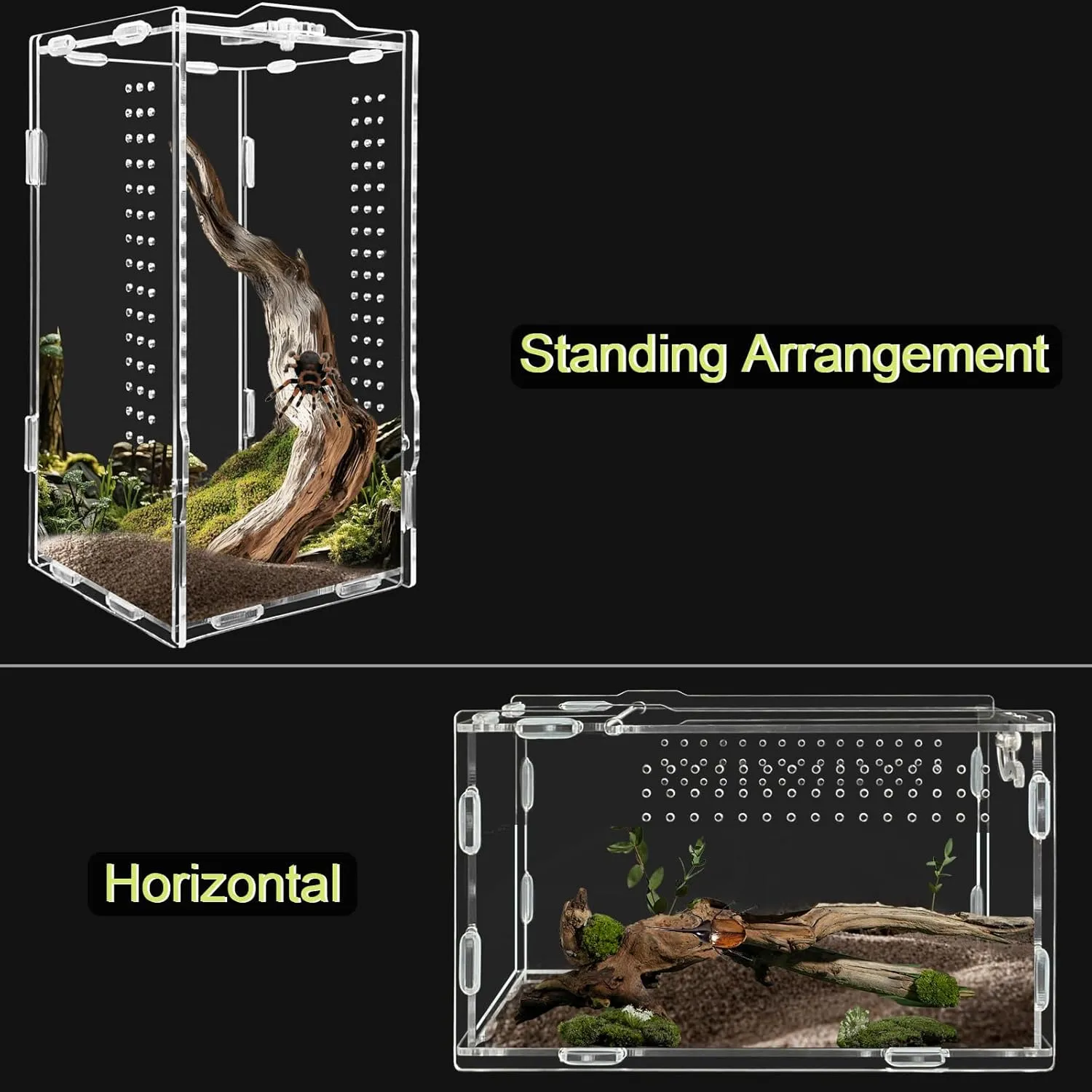 Micro Habitat Acrylic Reptile & Tarantula Enclosure, Small Tree Dwelling Reptiles, Amphibians, Spiders & Other Invertebrates