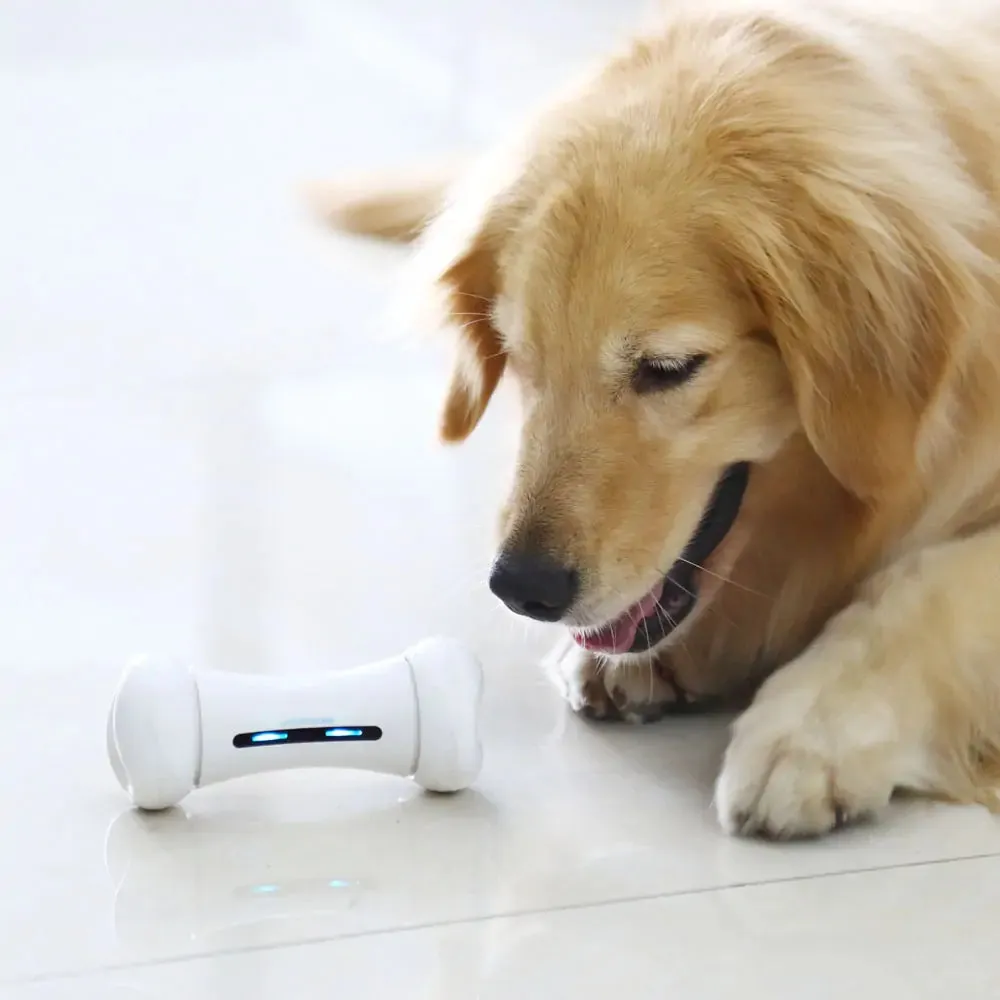 Pet Induction Interactive Toy: App-Controlled Fun for Dogs and Cats
