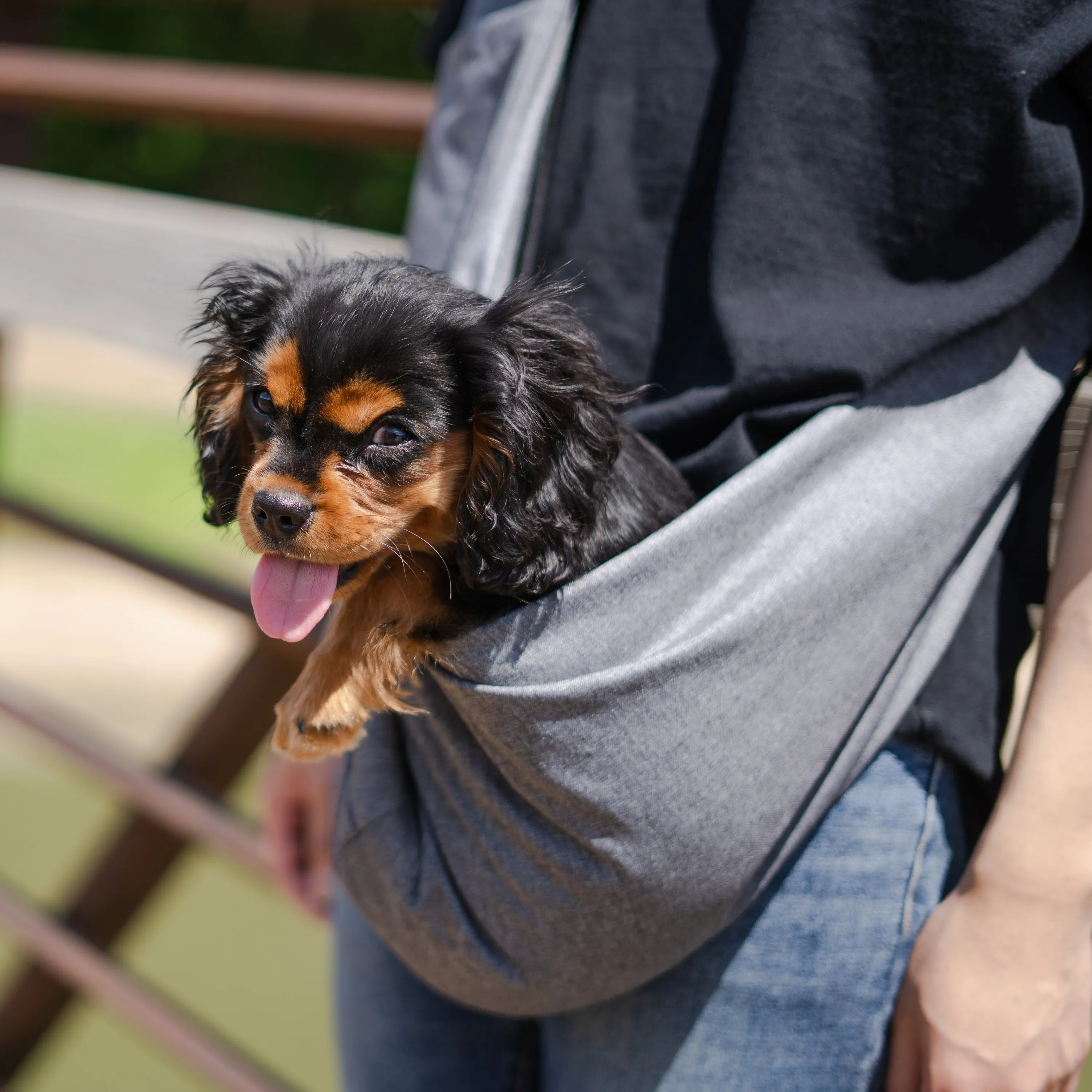 Pet Sling Carrier Travel Safe