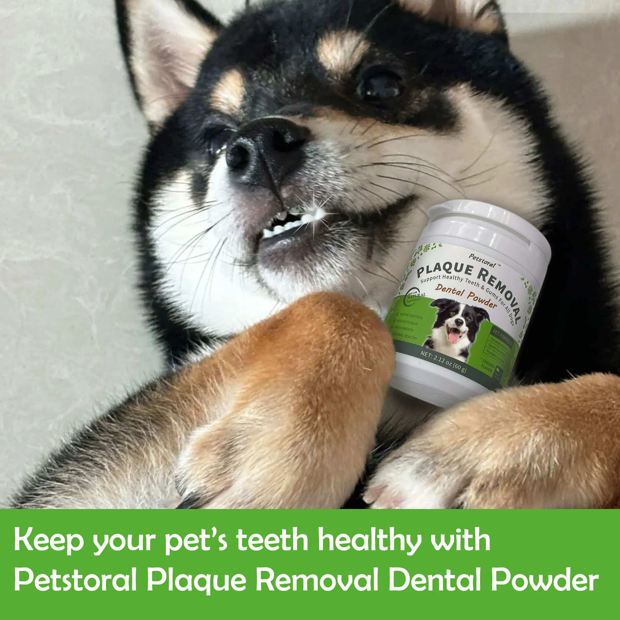 Plaque Removal Dental Powder 4-Pack, Dog Dental Care and Bad Breath Treatment, Dog Teeth Cleaning Powder for Healthy Teeth & Gums for All Dogs