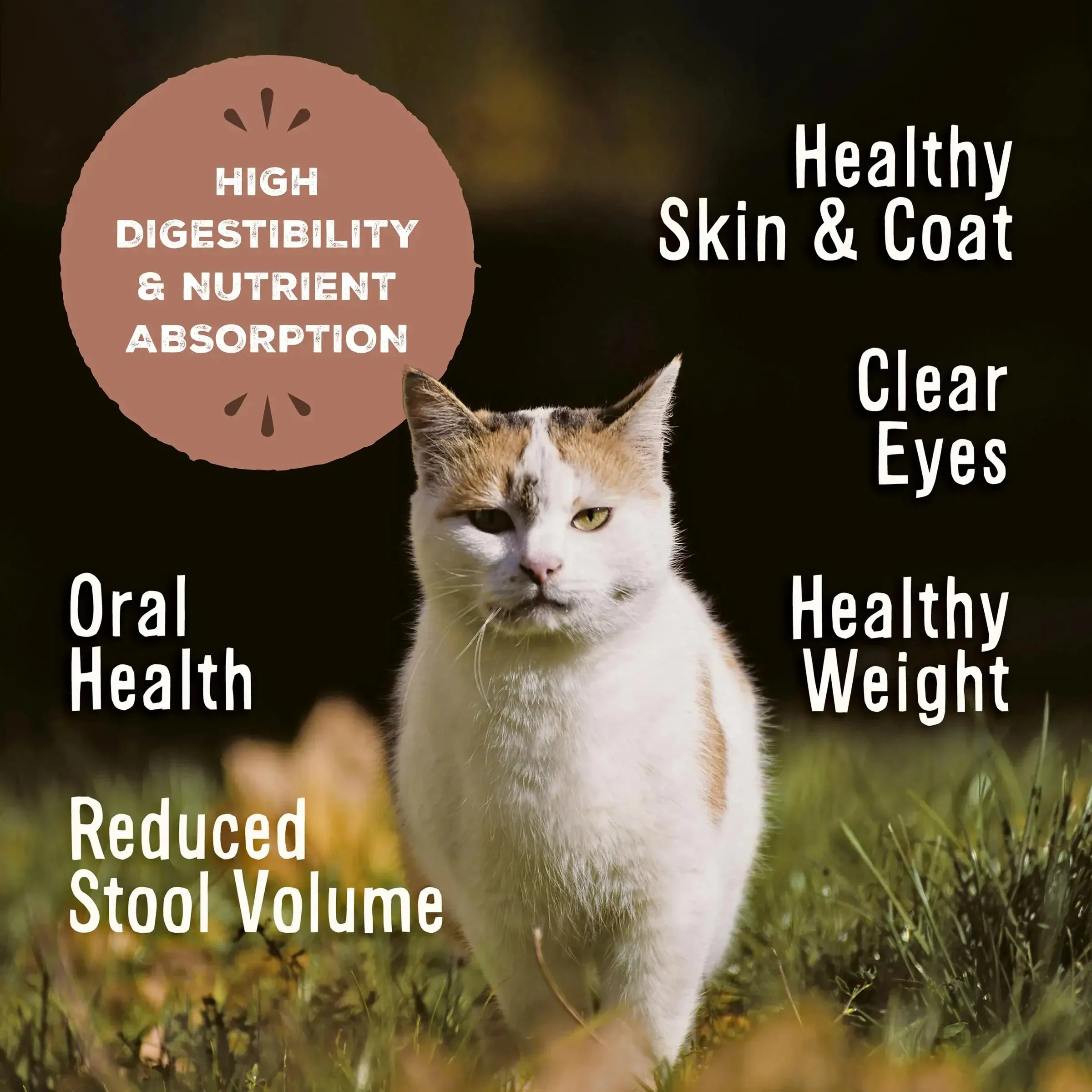 Primal Frozen Raw Duck Formula Cat Nuggets
