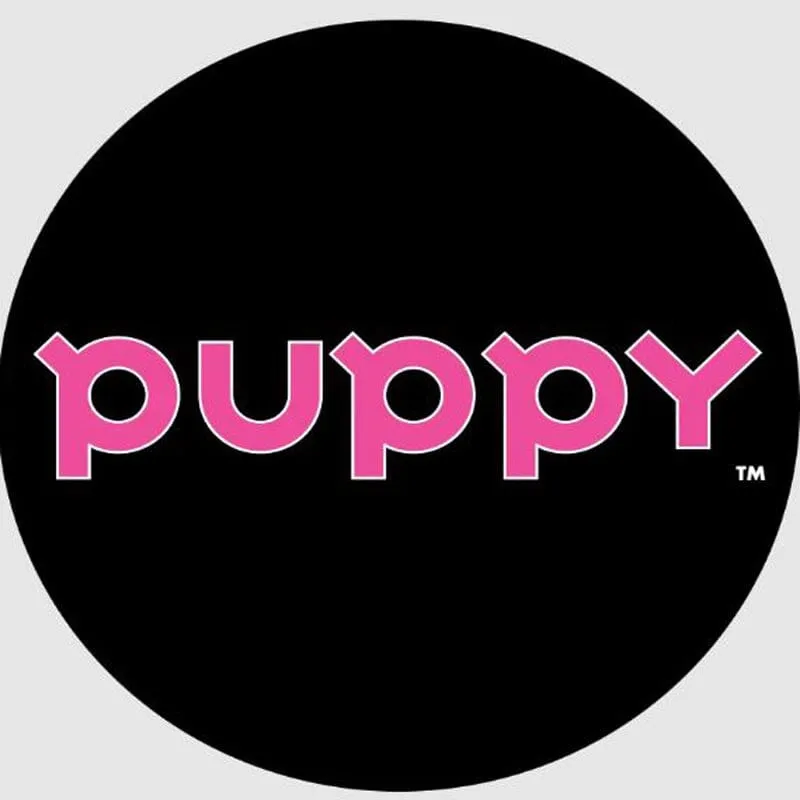 Puppy Rubber Ring Dog Toy