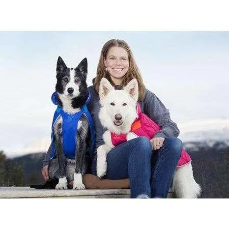 RC Dog Nimbus Puffer Royal Blue & Blue
