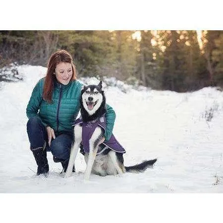 RC Dog Nimbus Puffer Royal Blue & Blue