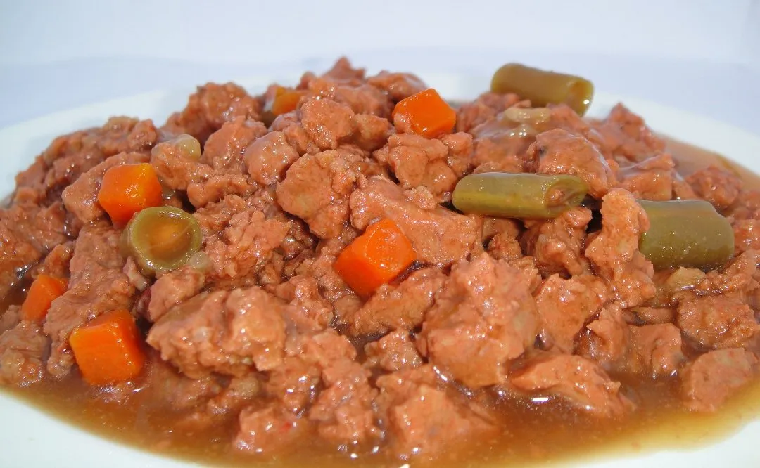 Replenish Lamb, Vegetables & Brown Rice in Gravy Can Dog Food (12 Pack)