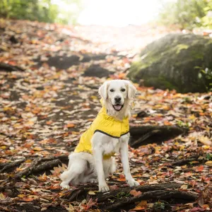 Reversible Elasto-Fit Raincoat (Yellow)