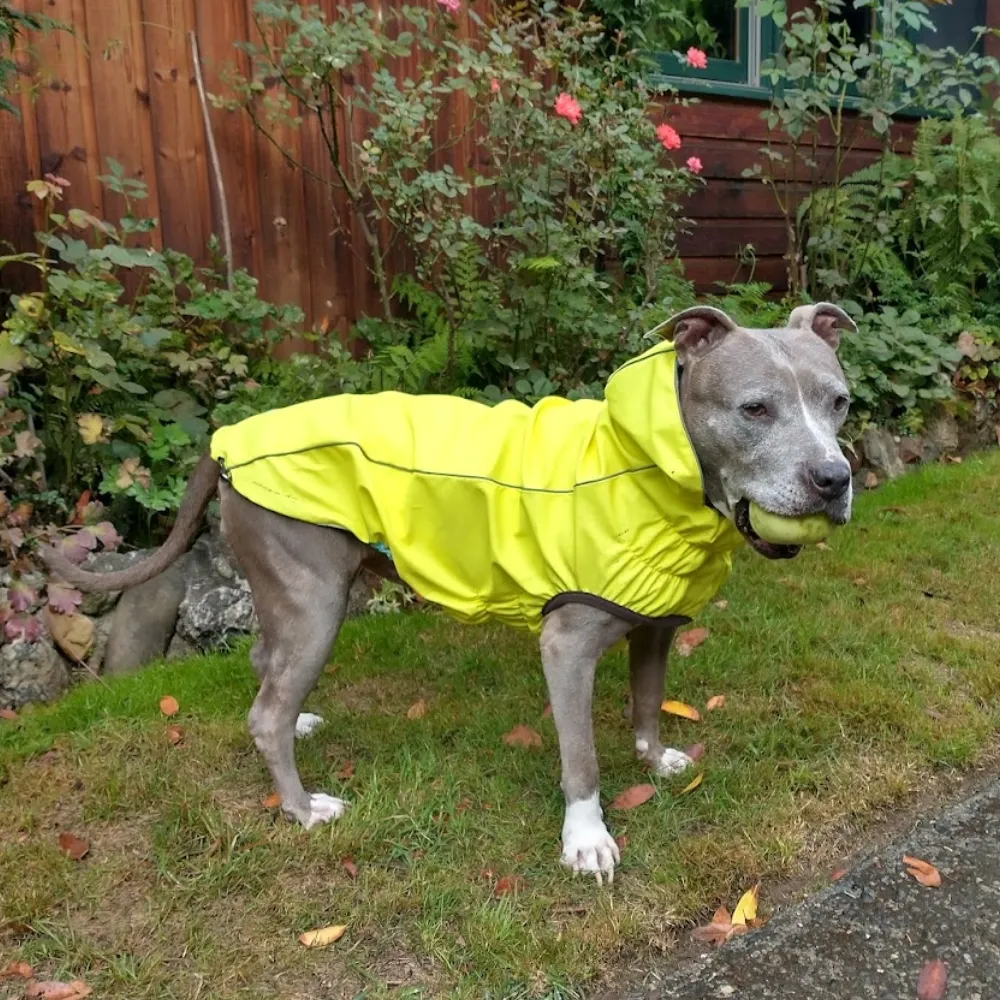 Reversible Rain Jacket