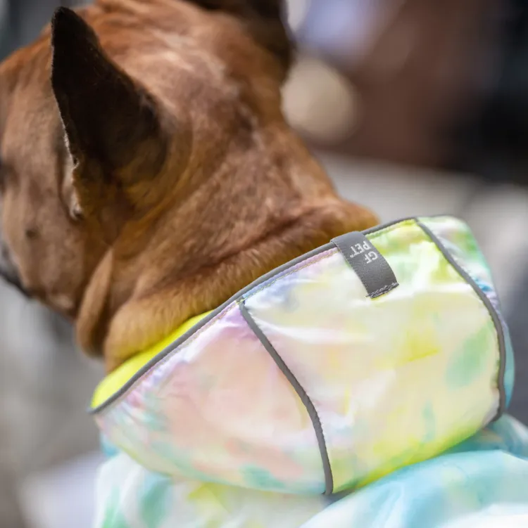 Reversible Rain Jacket