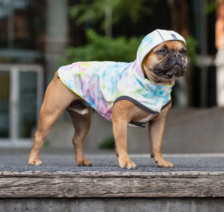 Reversible Rain Jacket