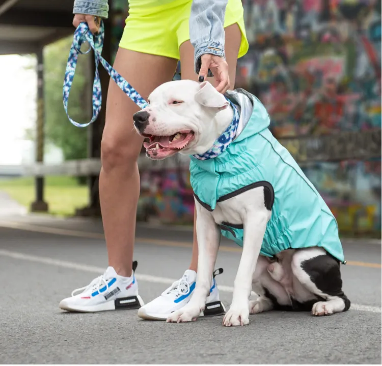 Reversible Rain Jacket