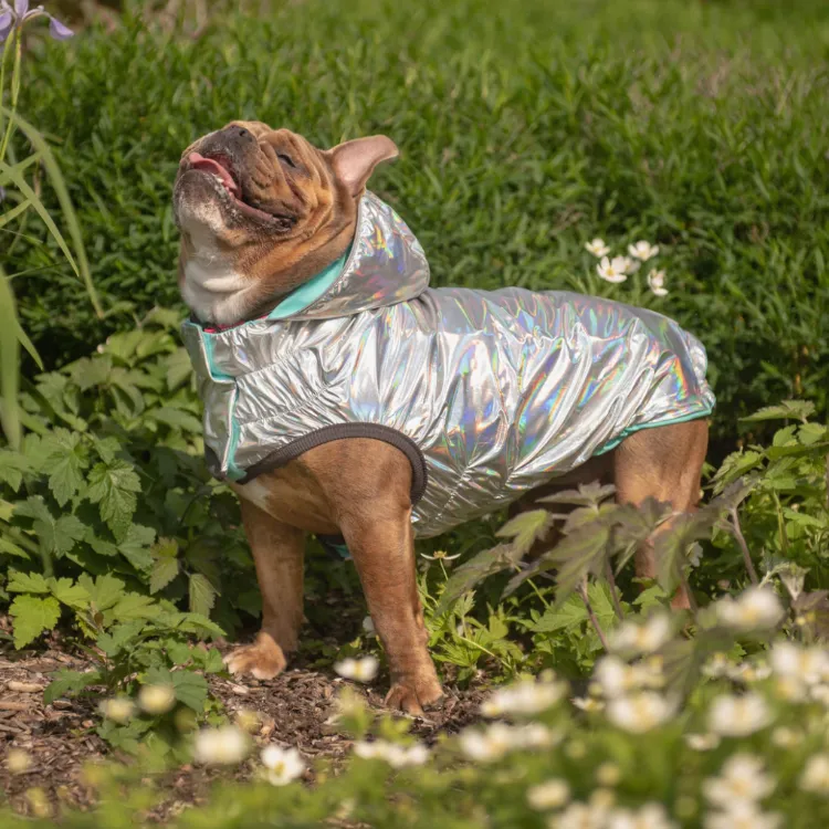 Reversible Rain Jacket