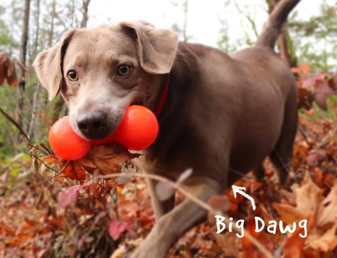 RuffDawg Indestructible Rubber Big Dawg Barbell Dog Toy