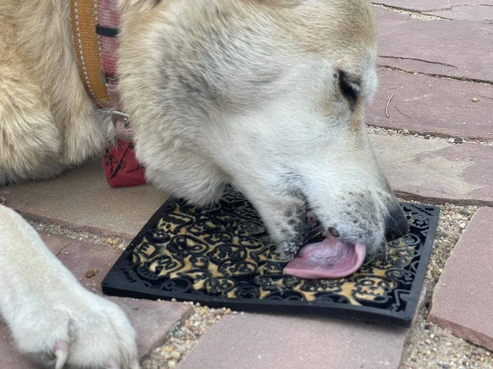 SodaPup Zombie Emat Enrichment Lick Mat For Dogs