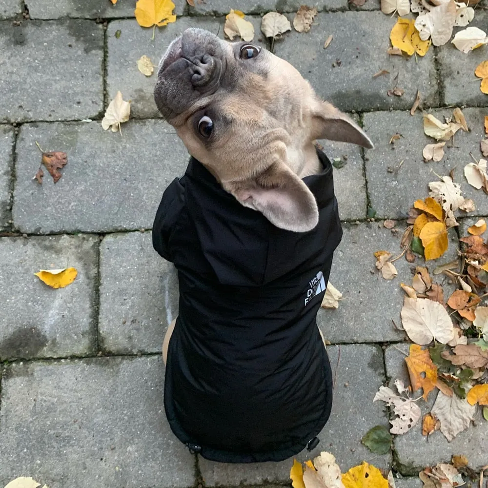 The Dog Face Jacket
