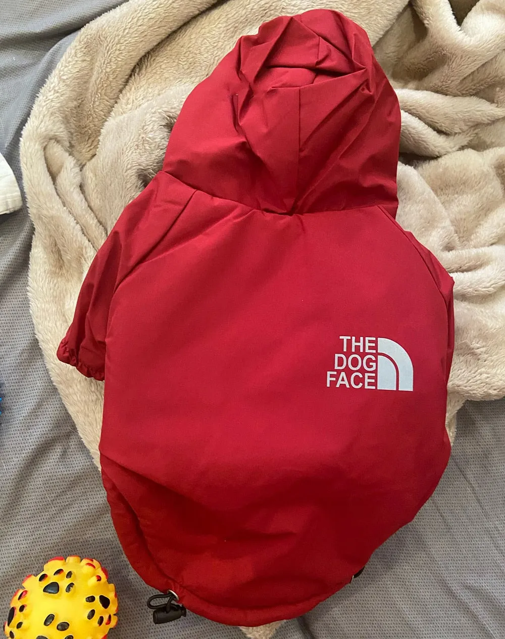 The Dog Face Jacket