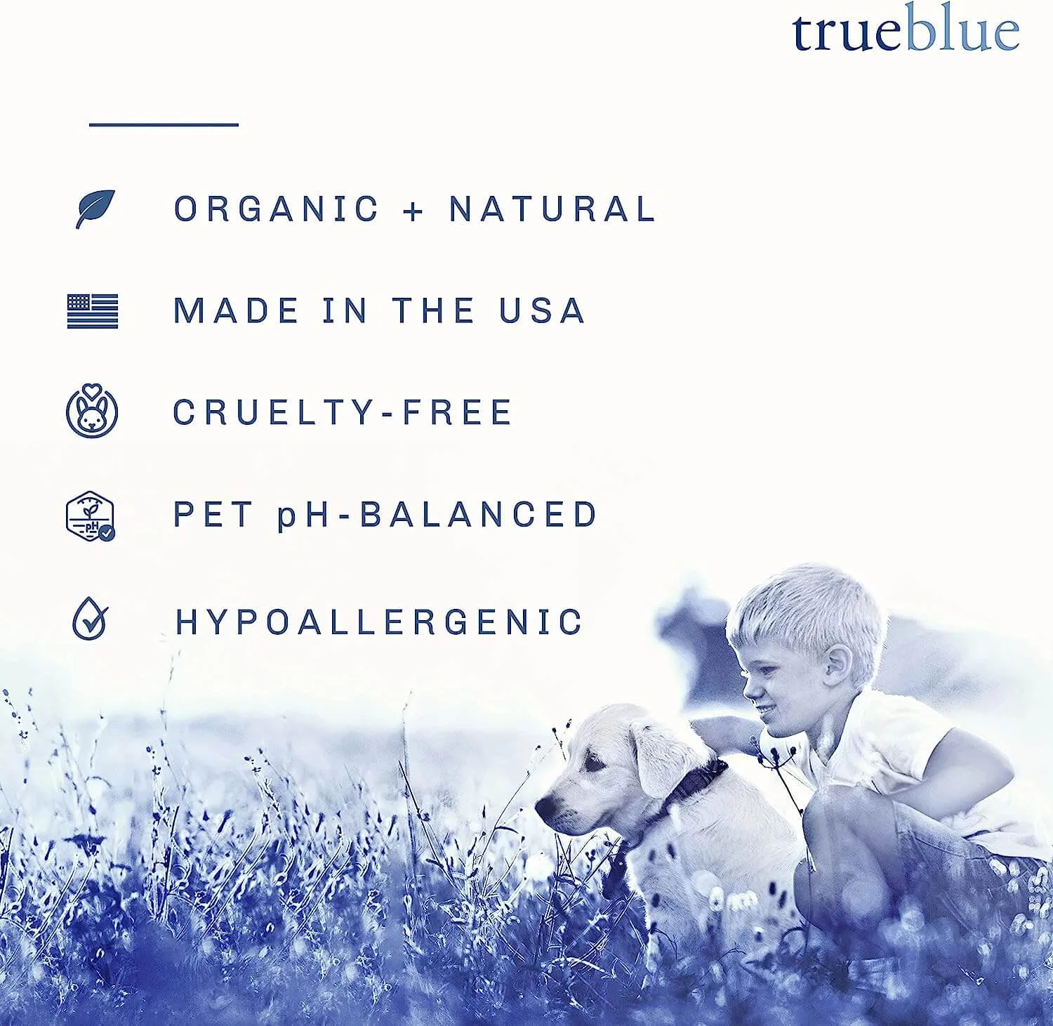 TrueBlue Fast & Fresh Dental Swipes