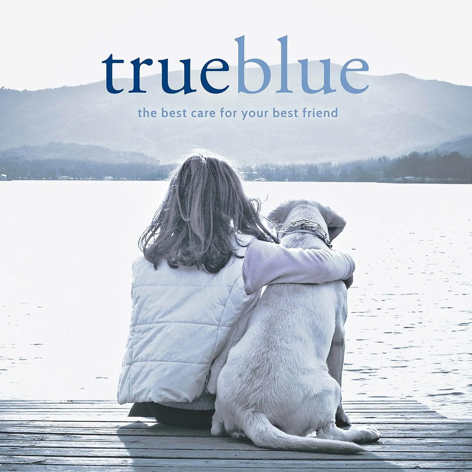 TrueBlue Fast & Fresh Dental Swipes