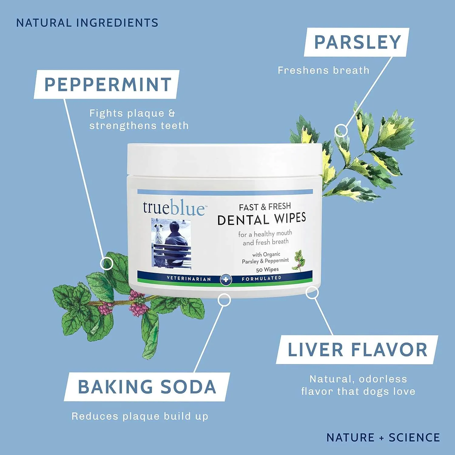 TrueBlue Fast & Fresh Dental Swipes