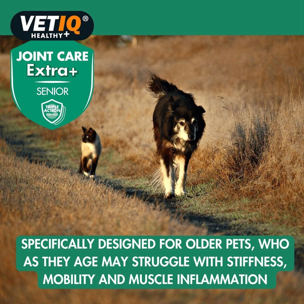 VETIQ Joint Care Extra for Senior Cats and Dogs
