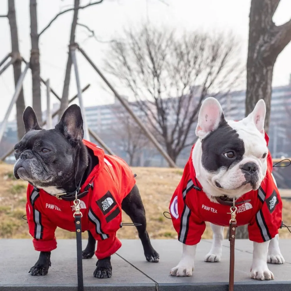 Waterproof Dog Jacket