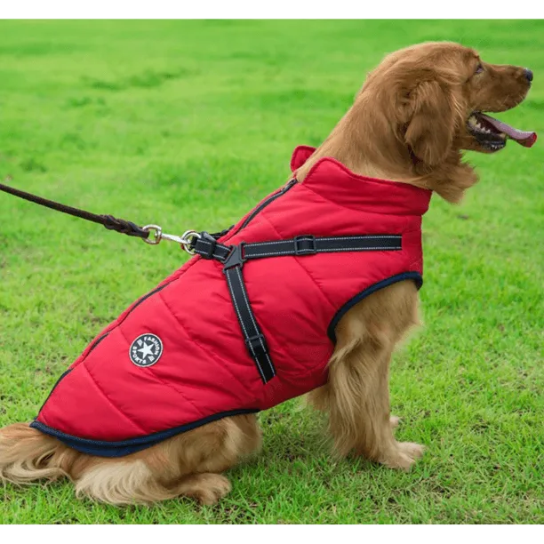 Waterproof Winter Jacket with Built-in Harness
