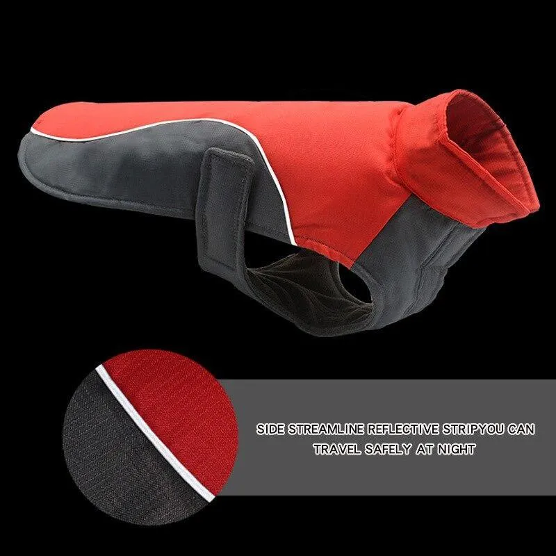 Winter Jacket Waterproof Dog Coat